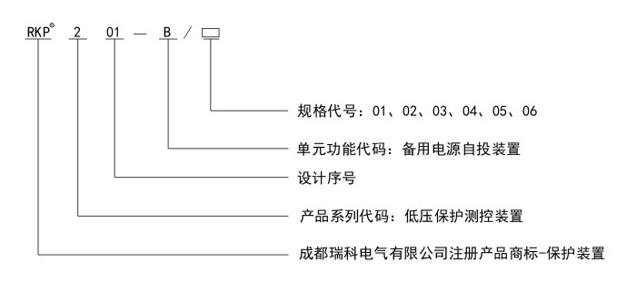 RKP201-B命名规则.jpg