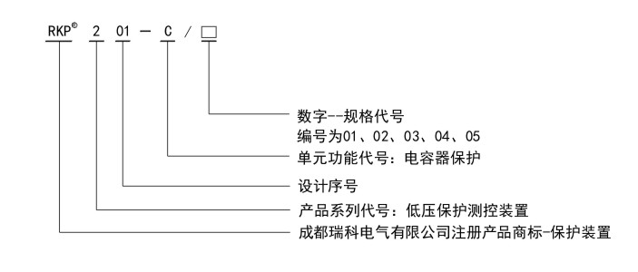 RKP201-C命名规则.jpg